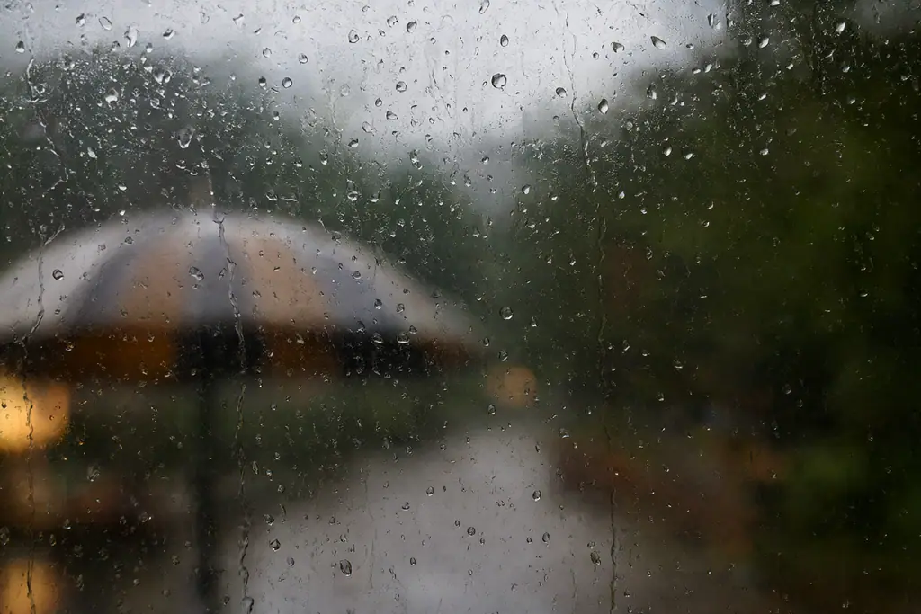 雨の日の過ごし方と準備